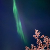 IMG-20230914-WA0001