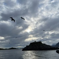 IMG_5519